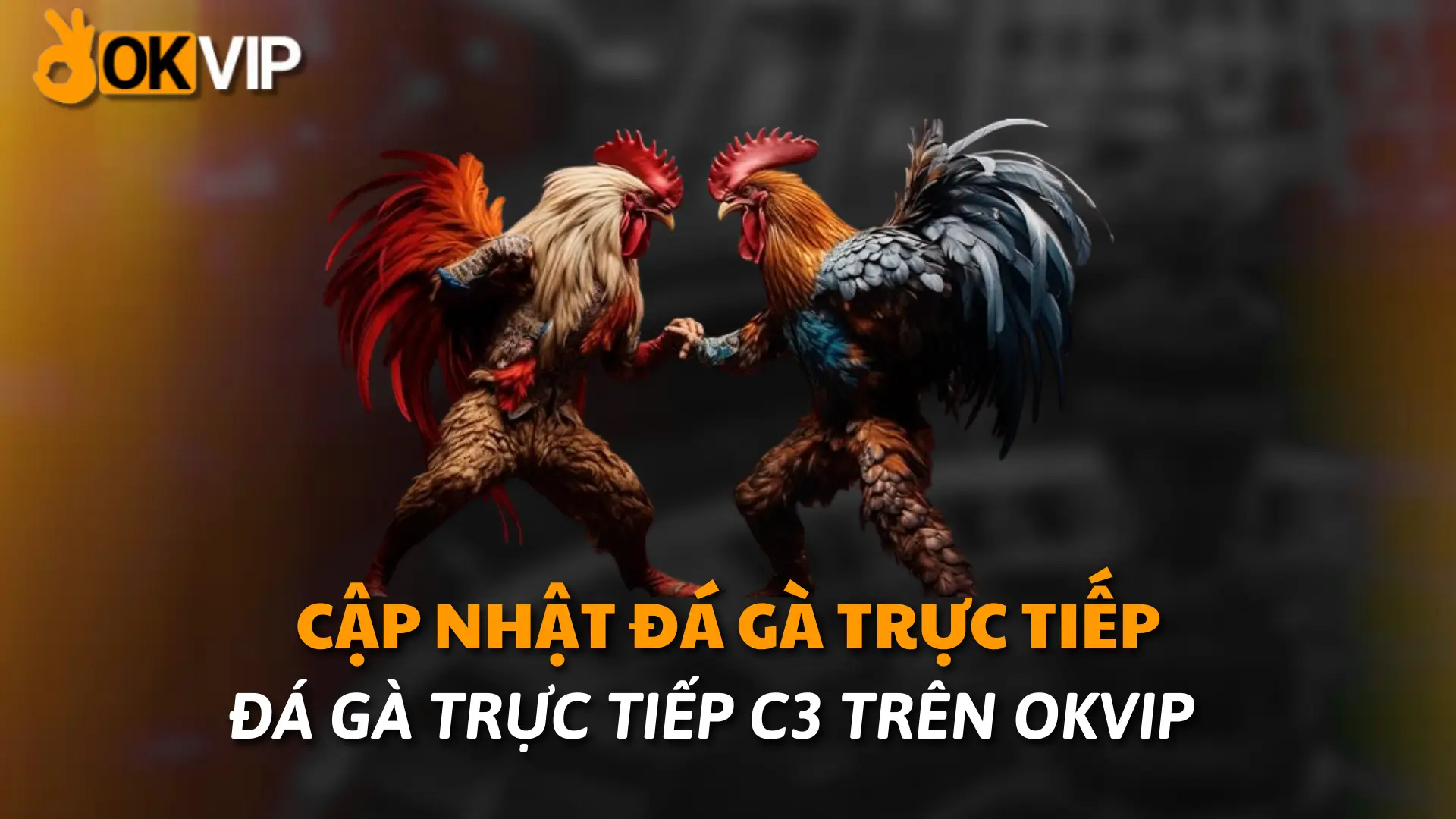 Đá gà trực tiếp