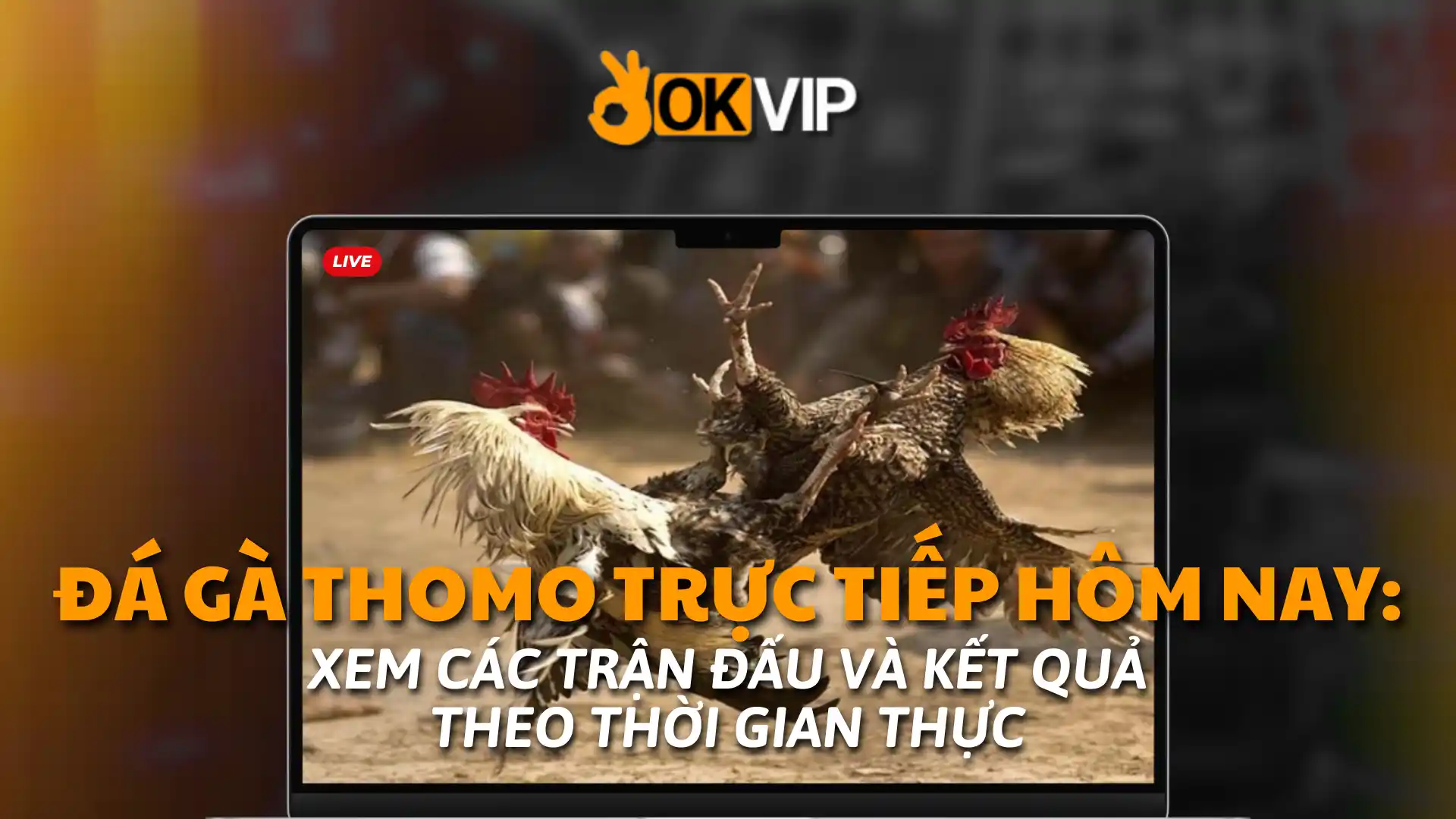 đá gà trực tiếp thomo