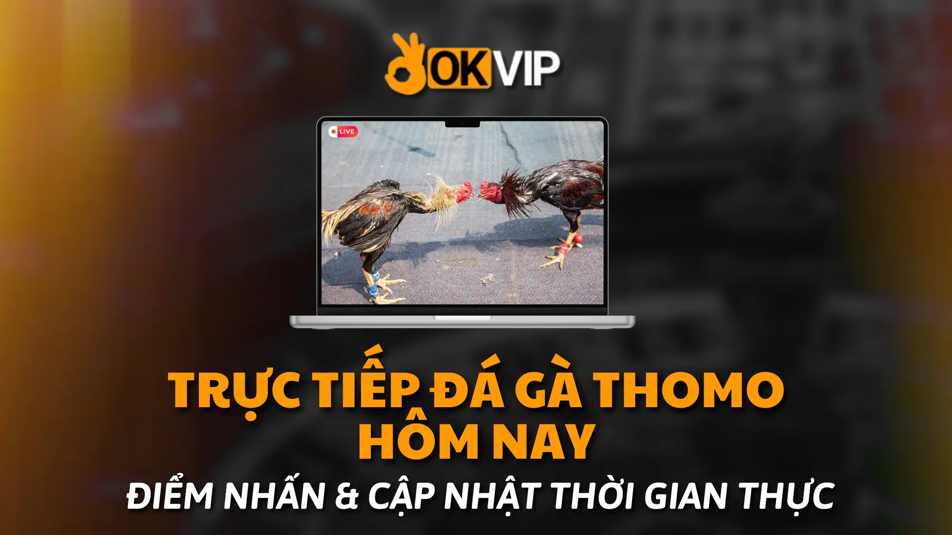 Trực Tiếp Đá Gà Thomo Hôm Nay