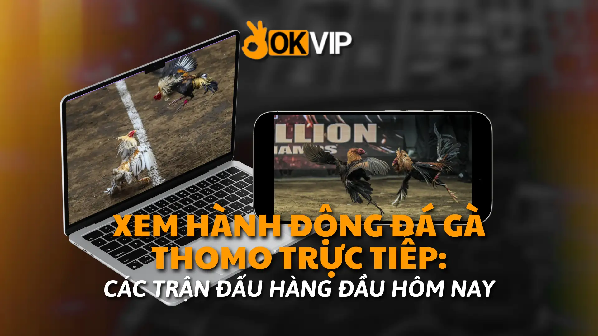 Trực Tiếp Đá Gà Thomo