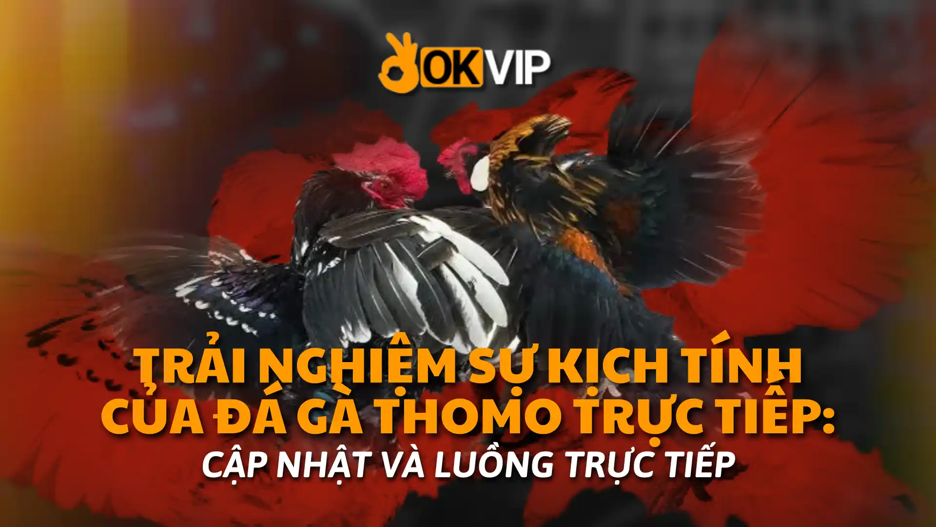 đá gà trực tiếp thomo