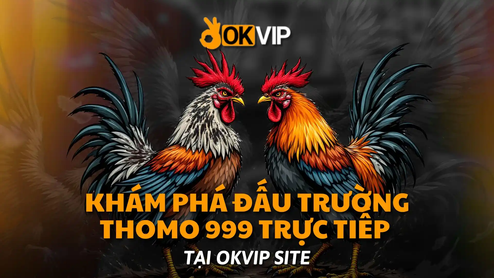 Khám Phá Đấu Trường Thomo 999 Trực Tiếp Tại okvip Site