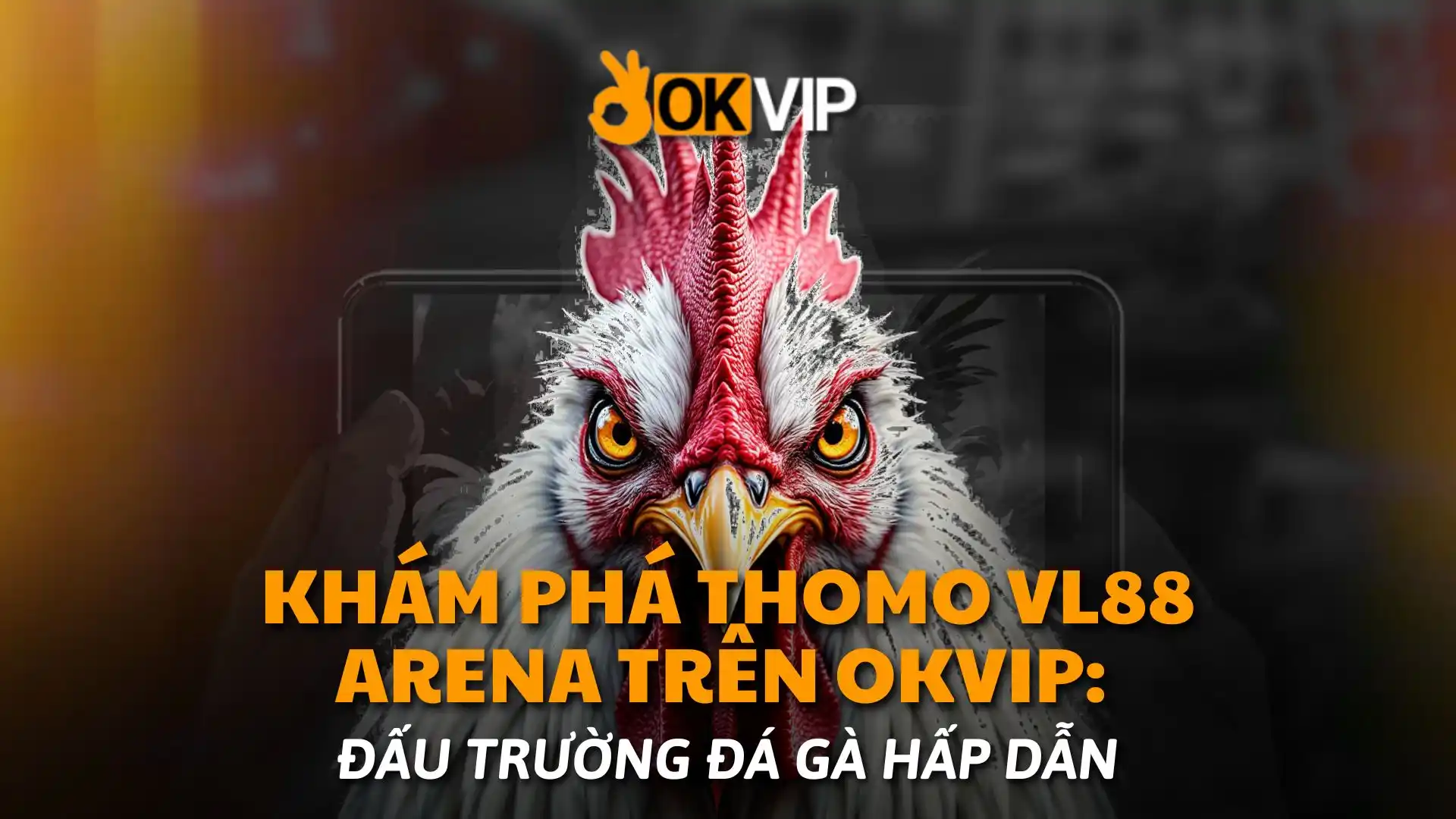 Khám Phá Thomo VL88 Arena Trên okvip Đấu Trường Đá Gà Hấp Dẫn