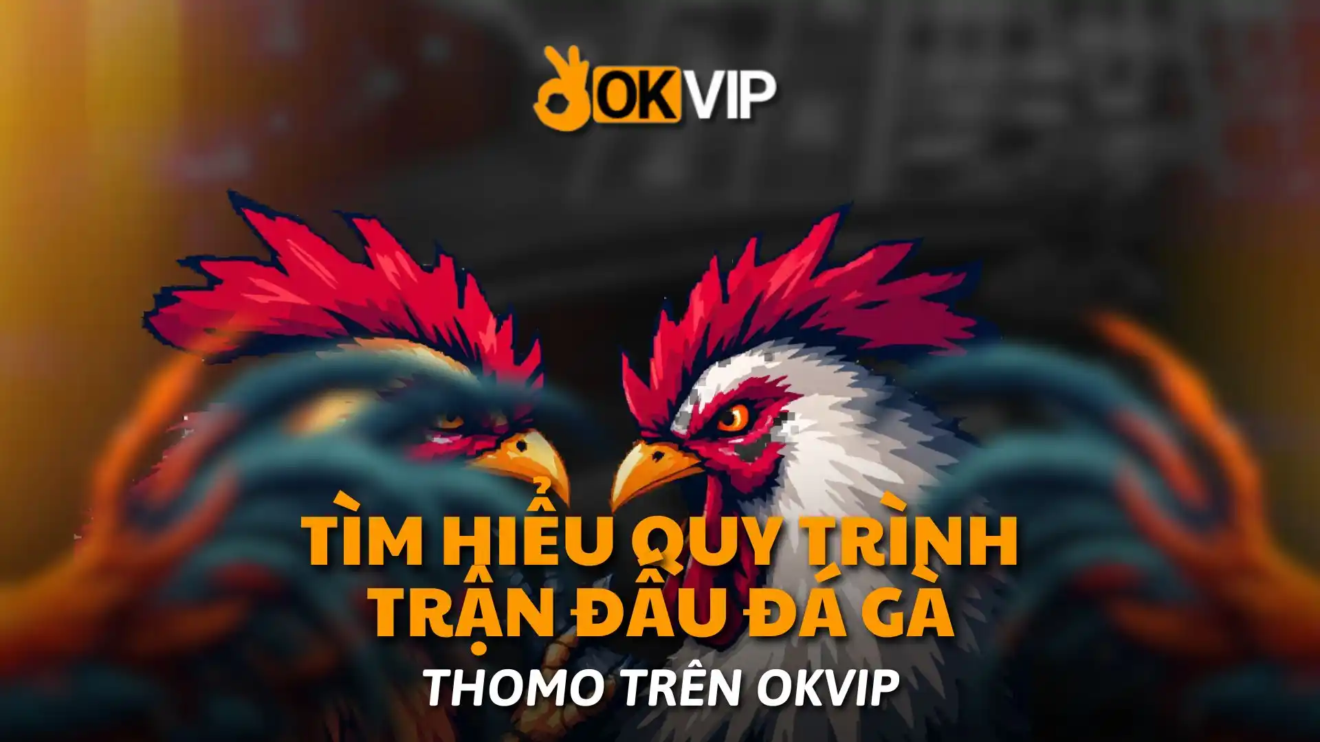 Tìm Hiểu Quy Trình Trận Đấu Đá Gà Thomo Trên okvip