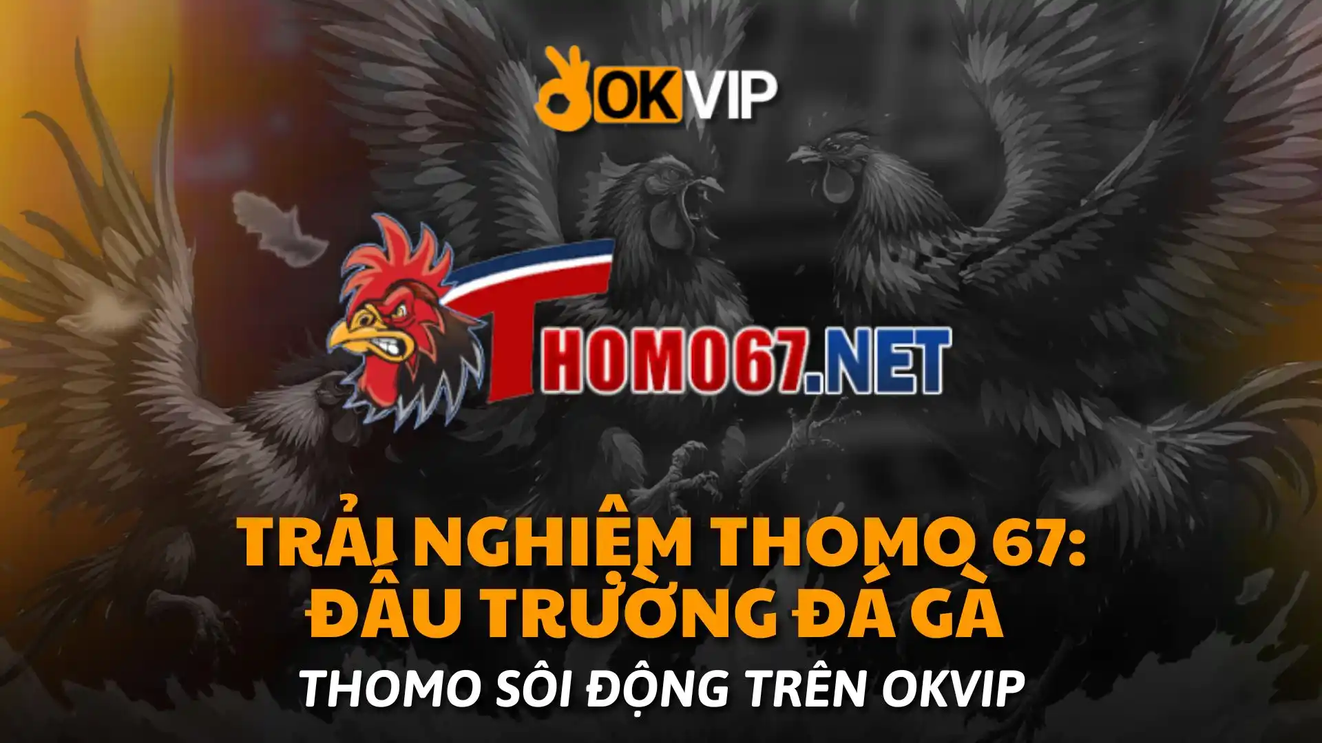 Trải Nghiệm Thomo 67 Đấu Trường Đá Gà Thomo Sôi Động Trên okvip